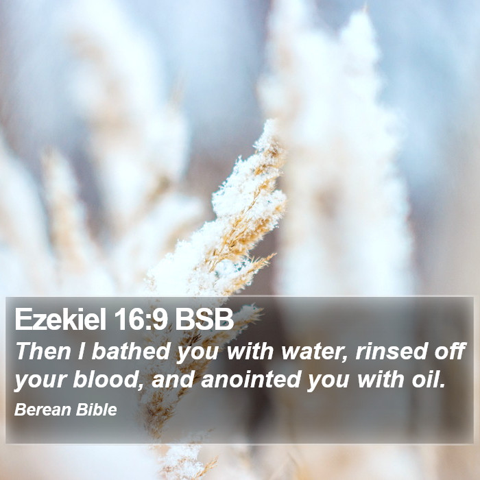 Ezekiel 16:9 BSB Bible Study