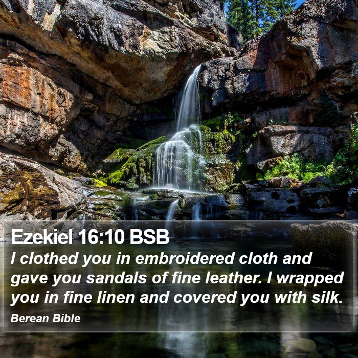 Ezekiel 16:10 BSB Bible Study