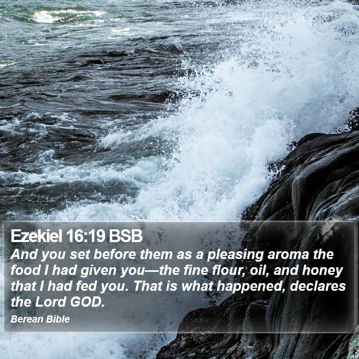 Ezekiel 16:19 BSB Bible Study