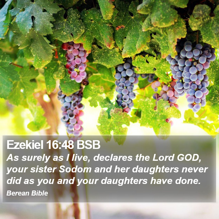 Ezekiel 16:48 BSB Bible Study