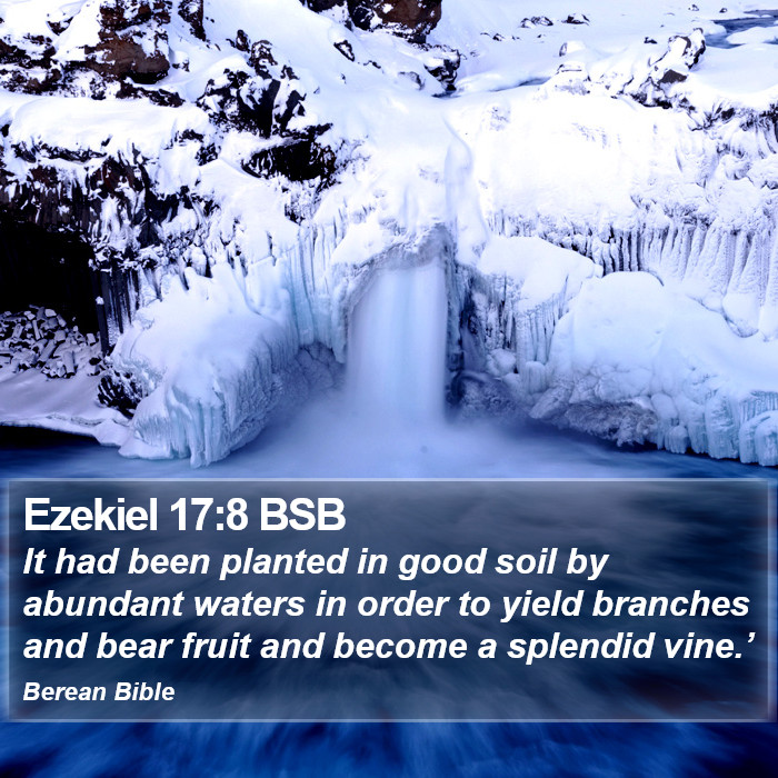 Ezekiel 17:8 BSB Bible Study