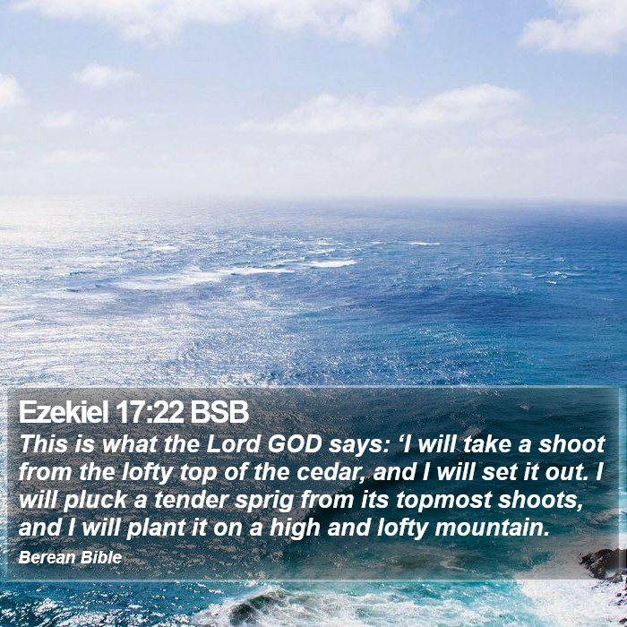 Ezekiel 17:22 BSB Bible Study