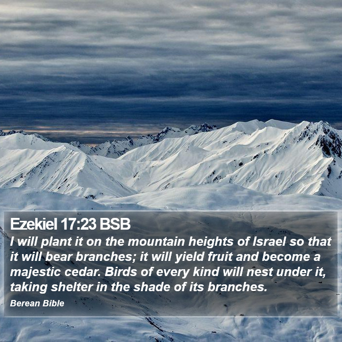 Ezekiel 17:23 BSB Bible Study