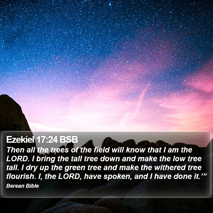 Ezekiel 17:24 BSB Bible Study