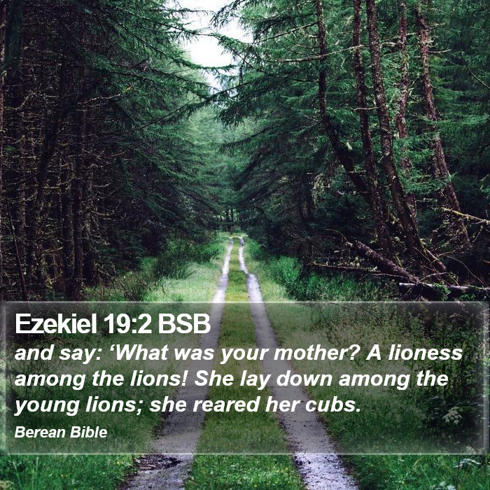 Ezekiel 19:2 BSB Bible Study