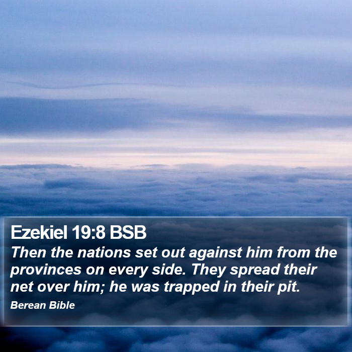 Ezekiel 19:8 BSB Bible Study