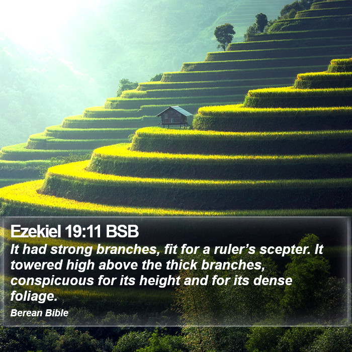 Ezekiel 19:11 BSB Bible Study