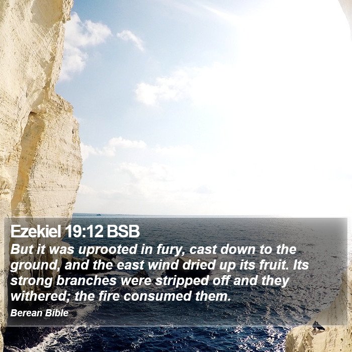 Ezekiel 19:12 BSB Bible Study