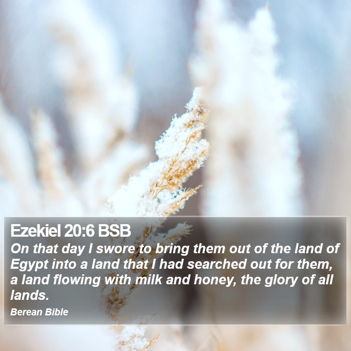 Ezekiel 20:6 BSB Bible Study