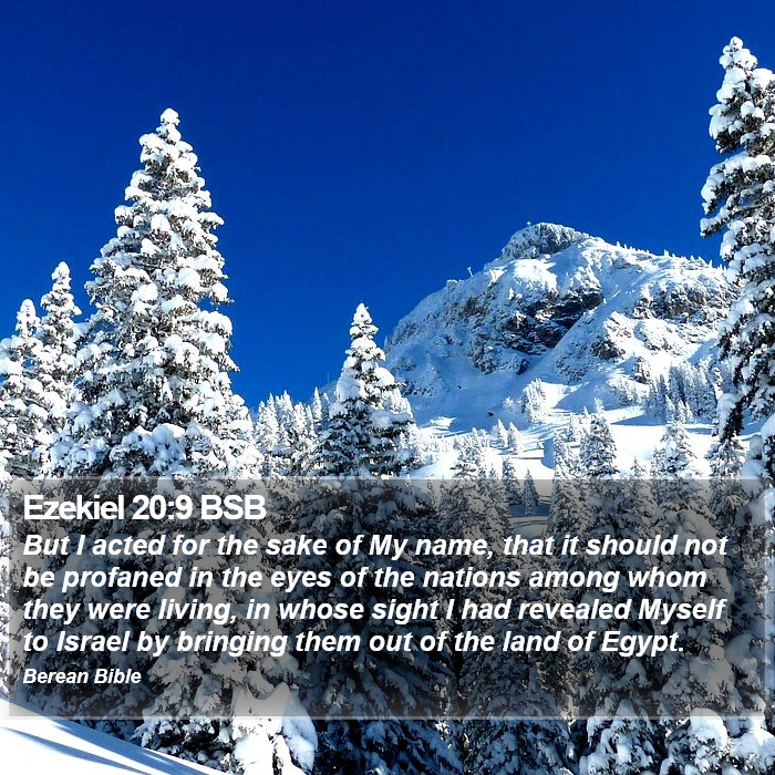 Ezekiel 20:9 BSB Bible Study