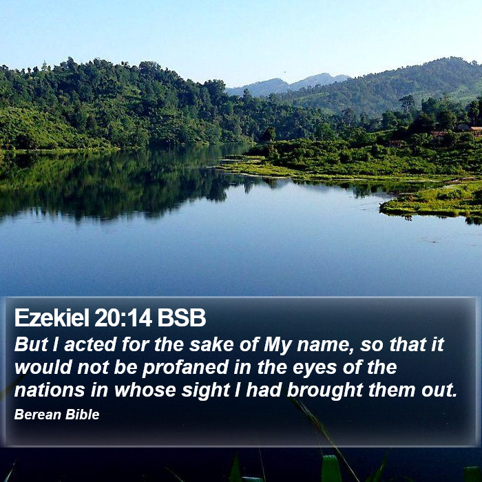 Ezekiel 20:14 BSB Bible Study