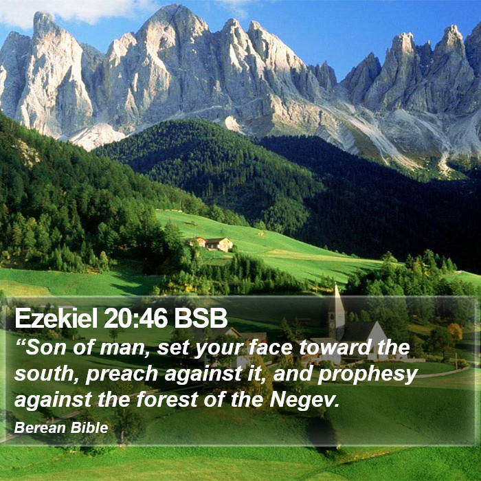 Ezekiel 20:46 BSB Bible Study