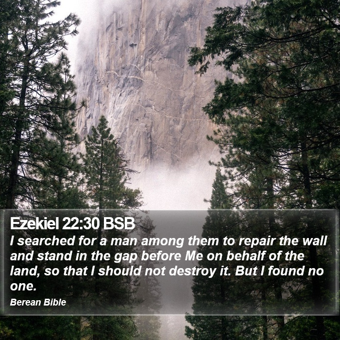 Ezekiel 22:30 BSB Bible Study