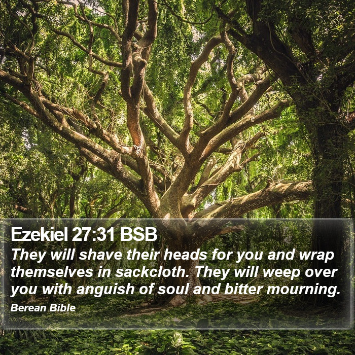 Ezekiel 27:31 BSB Bible Study