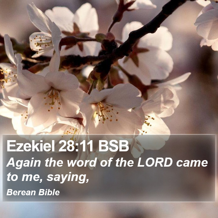 Ezekiel 28:11 BSB Bible Study