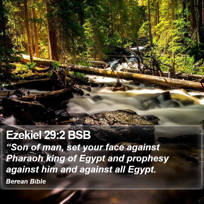 Ezekiel 29:2 BSB Bible Study