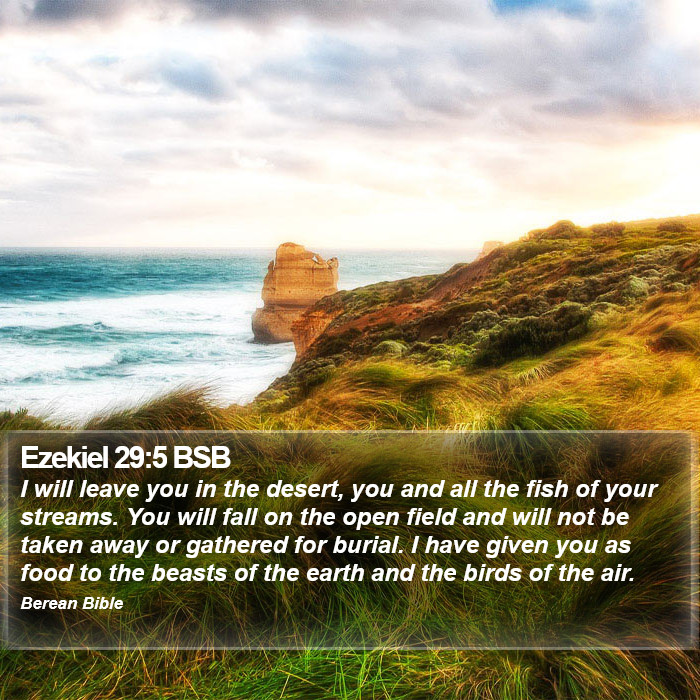 Ezekiel 29:5 BSB Bible Study