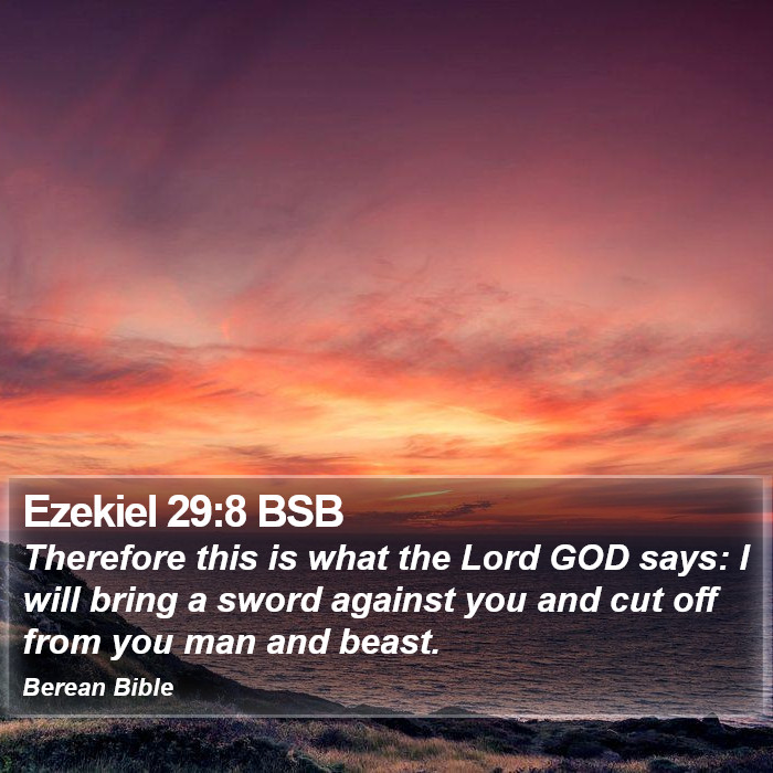 Ezekiel 29:8 BSB Bible Study