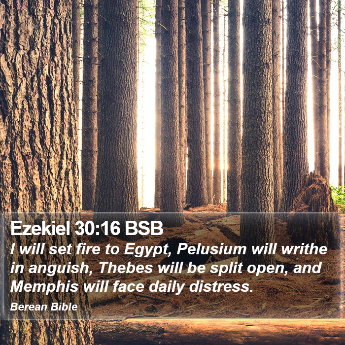 Ezekiel 30:16 BSB Bible Study