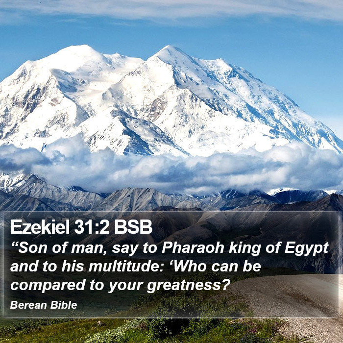 Ezekiel 31:2 BSB Bible Study