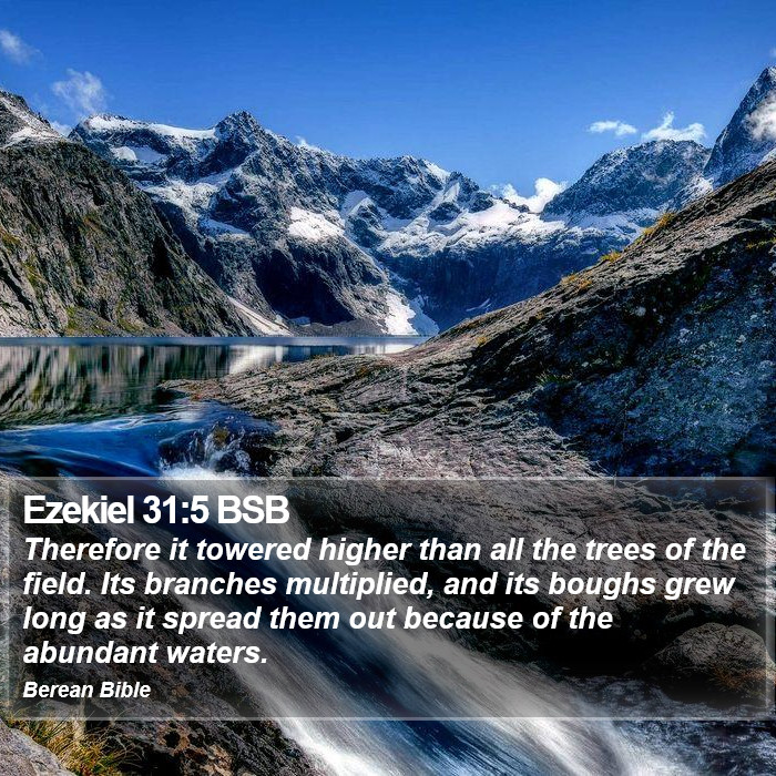 Ezekiel 31:5 BSB Bible Study