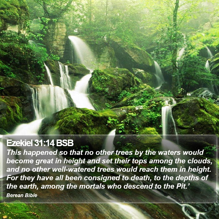 Ezekiel 31:14 BSB Bible Study