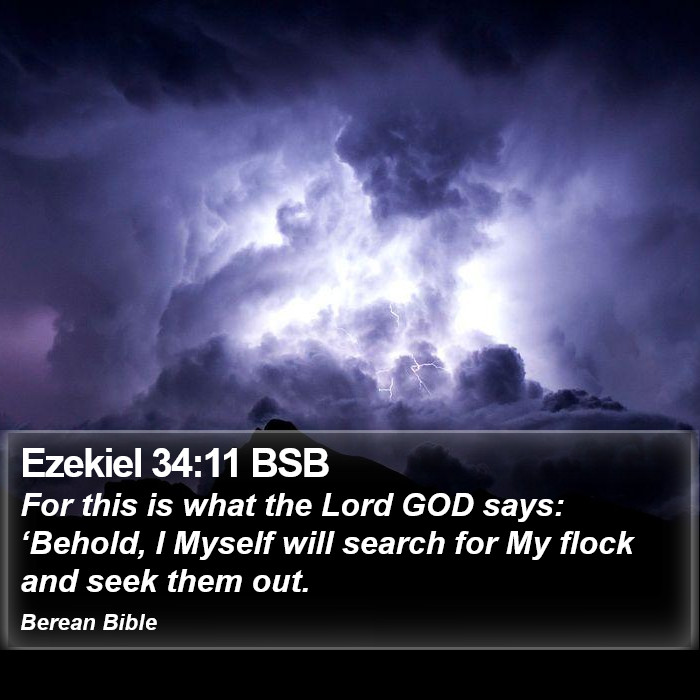 Ezekiel 34:11 BSB Bible Study