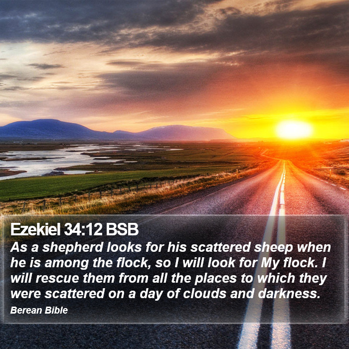 Ezekiel 34:12 BSB Bible Study