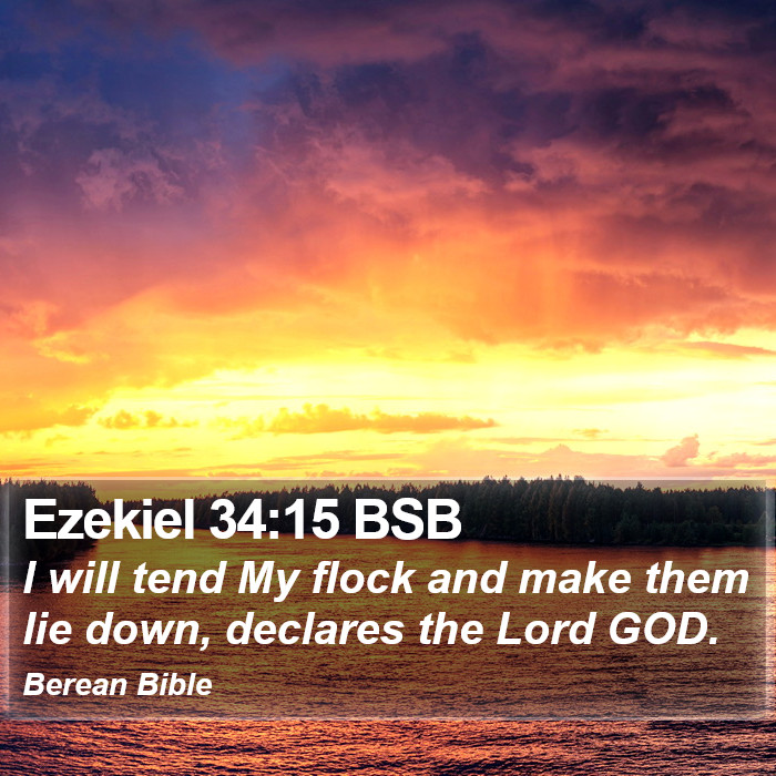 Ezekiel 34:15 BSB Bible Study