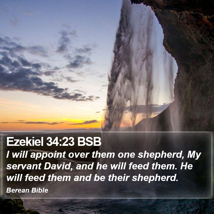 Ezekiel 34:23 BSB Bible Study