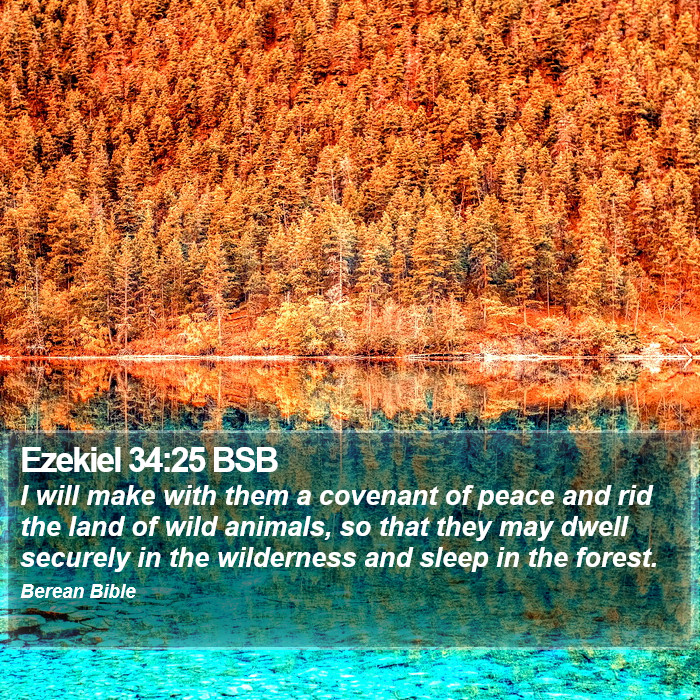 Ezekiel 34:25 BSB Bible Study