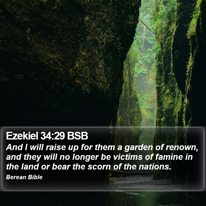 Ezekiel 34:29 BSB Bible Study