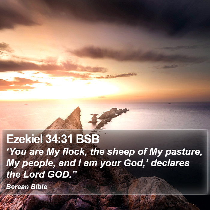 Ezekiel 34:31 BSB Bible Study