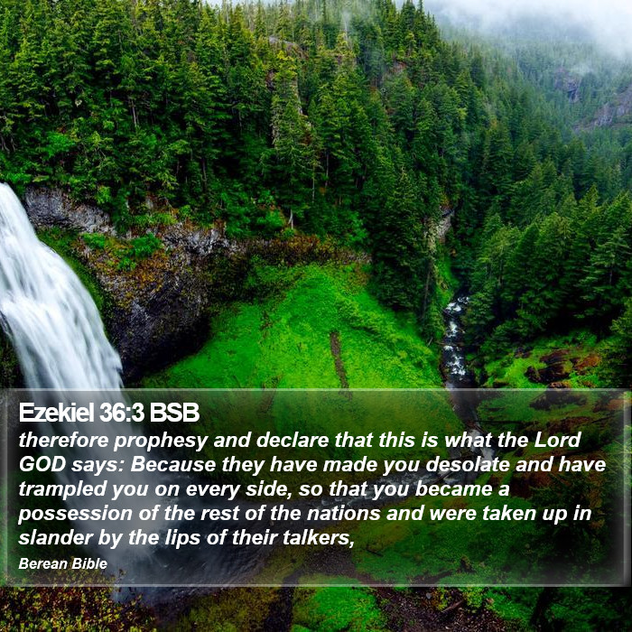 Ezekiel 36:3 BSB Bible Study