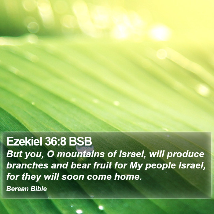 Ezekiel 36:8 BSB Bible Study