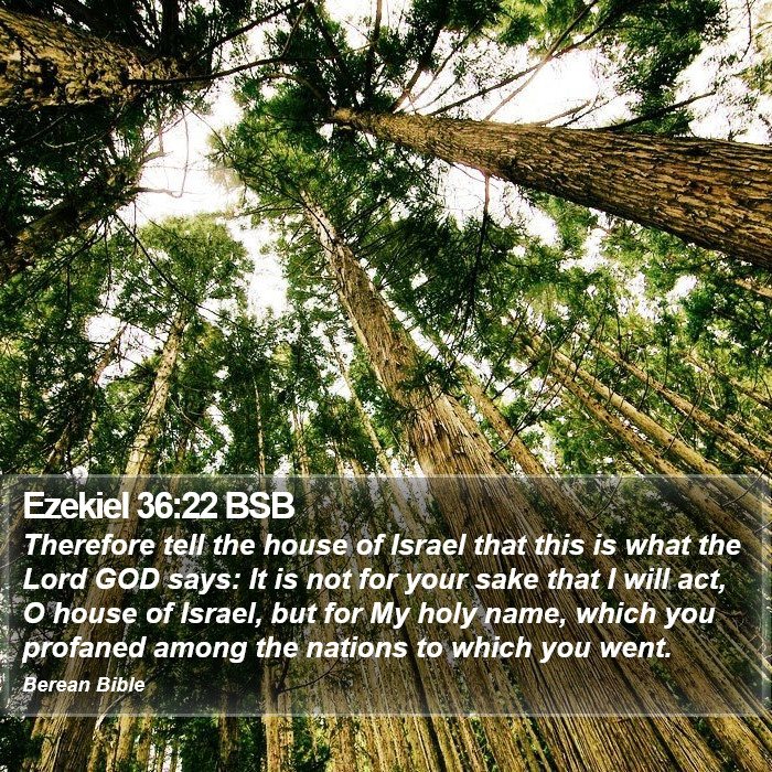 Ezekiel 36:22 BSB Bible Study