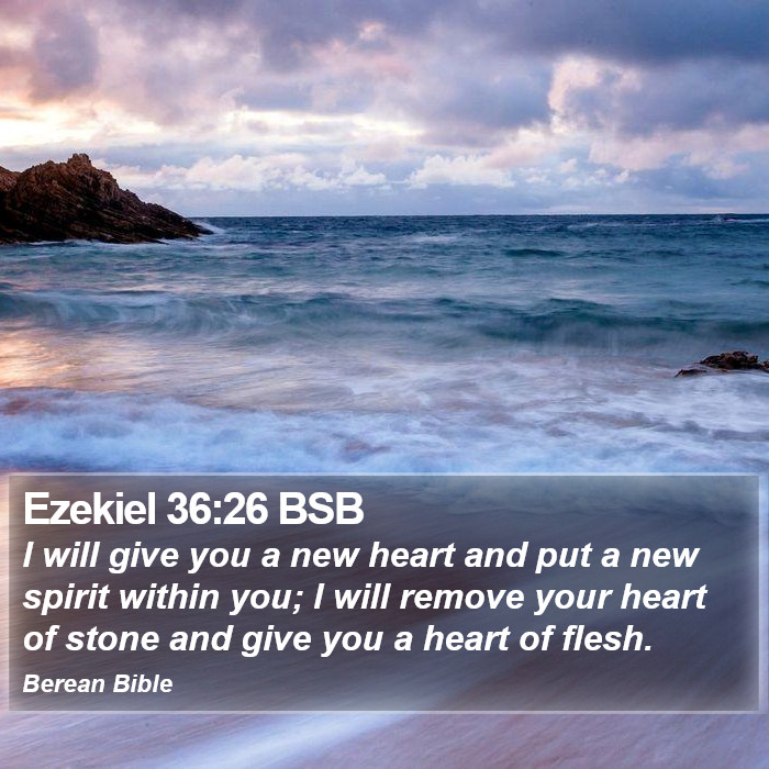 Ezekiel 36:26 BSB Bible Study