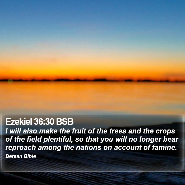 Ezekiel 36:30 BSB Bible Study