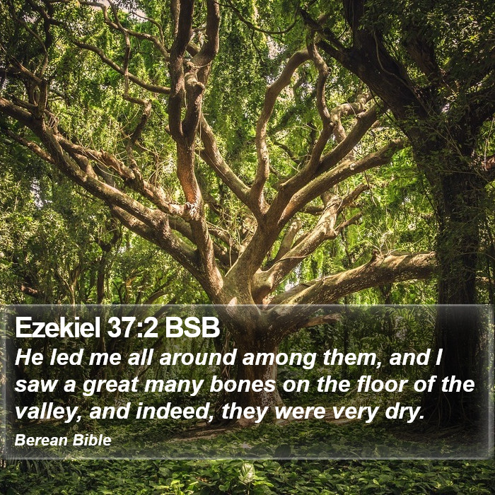 Ezekiel 37:2 BSB Bible Study