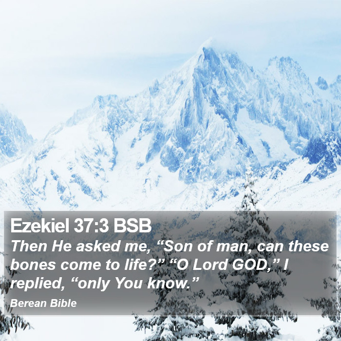 Ezekiel 37:3 BSB Bible Study