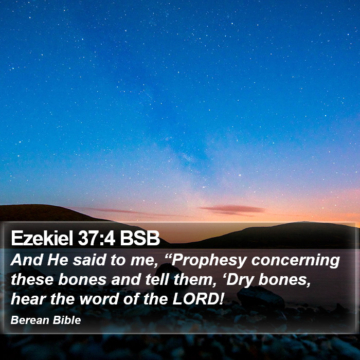 Ezekiel 37:4 BSB Bible Study