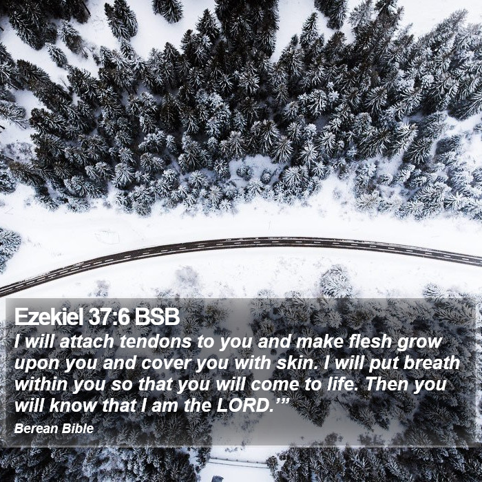 Ezekiel 37:6 BSB Bible Study