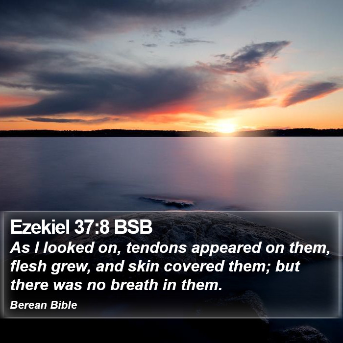 Ezekiel 37:8 BSB Bible Study