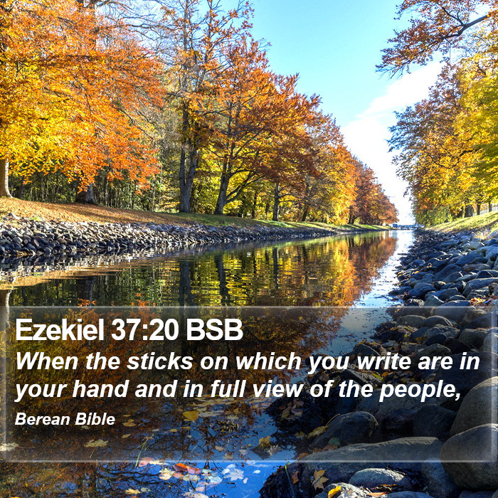 Ezekiel 37:20 BSB Bible Study