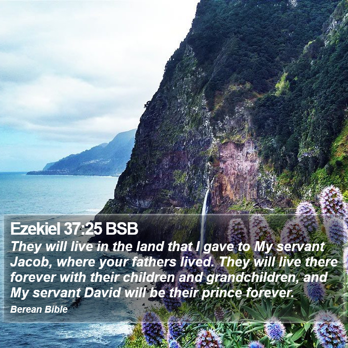 Ezekiel 37:25 BSB Bible Study