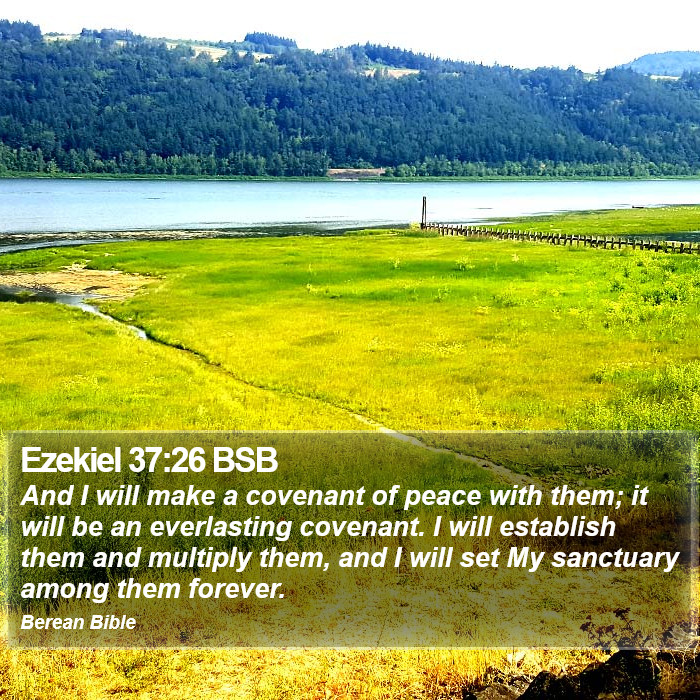 Ezekiel 37:26 BSB Bible Study