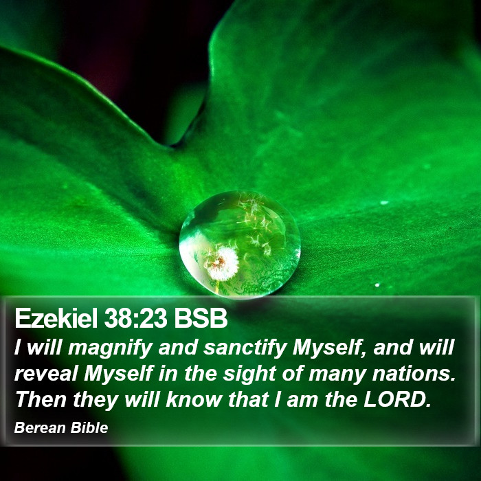 Ezekiel 38:23 BSB Bible Study