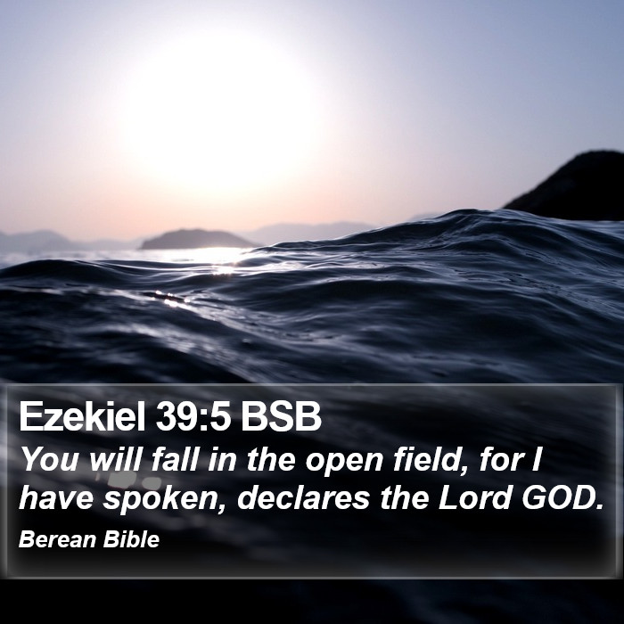 Ezekiel 39:5 BSB Bible Study