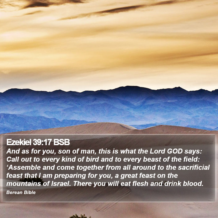 Ezekiel 39:17 BSB Bible Study