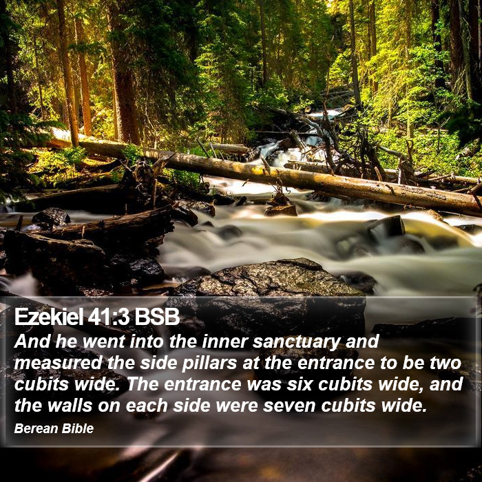 Ezekiel 41:3 BSB Bible Study